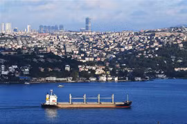 Tàu chở ngũ cốc di chuyển dọc Eo biển Bosphorus ở Istanbul, Thổ Nhĩ Kỳ, ngày 7/8/2022. (Ảnh: THX/TTXVN)