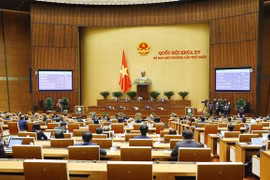 (Ảnh: Phương Hoa/TTXVN)