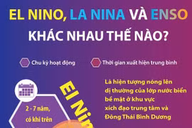 [Infographics] Sự khác nhau giữa El Nino, La Nina và ENSO