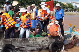 Các tổ chức, cá nhân tham gia thả cá trên sông Tiền. (Ảnh : Vương Thoại Trung/Vietnam+)