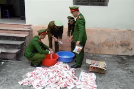 (Ảnh minh họa: Việt Hùng/TTXVN)