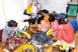 Ảnh chỉ có tính minh họa. (Ảnh: Huỳnh Sử/TTXVN)
