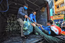 Những chuyến hàng chở bắp cải của nông dân Hải Dương tập kết tại số 38 Giải Phóng, Hà Nội. (Ảnh: Thành Đạt/TTXVN) 