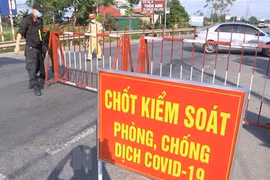 (Ảnh minh họa: Đinh Văn Nhiều/TTXVN) 
