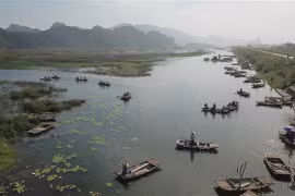 Khu bảo tồn thiên nhiên đất ngập nước Vân Long. (Ảnh: Thùy Dung/TTXVN) 