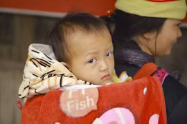 [Photo] Người dân vùng cao Điện Biên chống chọi với giá rét