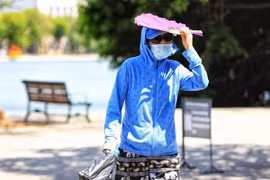 (Ảnh minh họa: Thành Đạt/TTXVN) 