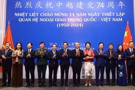 Phó Thủ tướng Trần Lưu Quang và các đại biểu dự lễ kỷ niệm. (Ảnh: Lâm Khánh/TTXVN)
