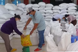 Cấp gạo hỗ trợ của chính phủ cho người dân. (Ảnh: Xuân Triệu/TTXVN) 