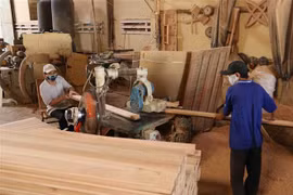(Ảnh minh họa: Vũ Sinh/TTXVN) 