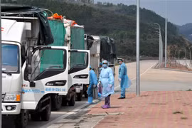 Các phương tiện được khử trùng tiêu độc trước khi làm thủ tục thông quan. (Ảnh: Việt-Đức/TTXVN) 