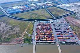 Với vị trí địa lý thuận lợi cùng cơ sở hạ tầng được đầu tư bài bản, khai thác và vận hành chuyên nghiệp, Cảng Nam Hải Đình Vũ đã vươn mình phát triển mạnh mẽ. (Ảnh: An Đăng/TTXVN)