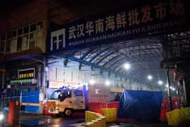 Chợ hải sản Hoa Nam ở Vũ Hán, tỉnh Hồ Bắc, Trung Quốc. (Nguồn: AFP/TTXVN) 