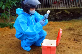 Chuẩn bị vaccine tiêm phòng bệnh chó dại. (Ảnh: Tá Chuyên/TTXVN)