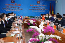 Quang cảnh hội nghị. (Ảnh Công Tường/TTXVN) 