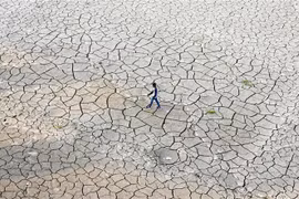 El Nino có thể gây ra các hiện tượng thời tiết cực đoan như cháy rừng, bão lốc xoáy nhiệt đới và hạn hán kéo dài. (Ảnh: AFP/TTXVN)