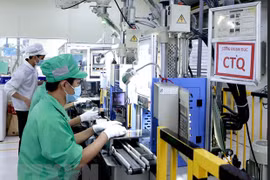 Công ty Youngbag Việt Nam Khu công nghiệp Bình Xuyên, Vĩnh Phúc là doanh nghiệp 100% vốn Hàn Quốc. (Ảnh: Hoàng Hùng/TTXVN)