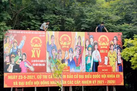 (Ảnh: Quang Quyết/TTXVN) 