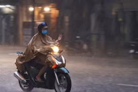 (Ảnh minh họa: Dương Giang/TTXVN) 