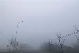(Ảnh minh họa: Hoàng Ngà/TTXVN)