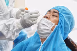 Lấy mẫu xét nghiệm COVID-19. (Ảnh: Thành Đạt/TTXVN) 