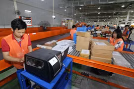 Phân loại hoàng hóa của hãng thương mại điện tử Lazada. (Ảnh: Trần Việt/TTXVN) 