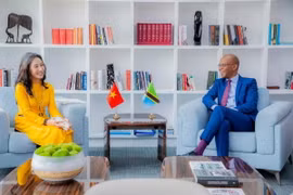 Đại sứ Việt Nam tại Tanzania Vũ Thanh Huyền trong một hoạt động do Đại sứ quán Việt Nam tại Tanzania tổ chức. (Ảnh: TTXVN phát)