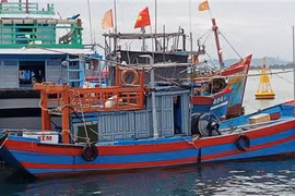 Tàu khai thác hải sản xa bờ cập cảng cá Tam Quang, huyện Núi Thành, Quảng Nam. (Ảnh: Đoàn Hữu Trung/TTXVN)
