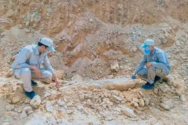 Quả bom khủng khi được tìm thấy. (Nguồn: thanhnien.vn) 
