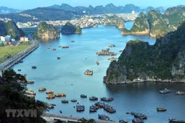 Lực lượng quân đội tiến hành gia cố đê Hà Nam ở thị xã Quảng Yên. (Ảnh: Văn Đức/TTXVN) 