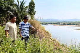 Người dân mong muốn các cấp ngành, địa phương sớm có phương án hỗ trợ xây kè chống sạt lở bờ sông nhằm bảo vệ tính mạng và tài sản của mình. (Nguồn: Báo Gia Lai)