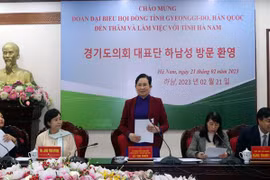 Bí thư Tỉnh ủy Hà Nam Lê Thị Thủy phát biểu tại buổi làm việc. (Ảnh: Nguyễn Chinh/TTXVN)