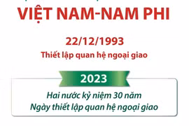 Quan hệ Đối tác vì Hợp tác và Phát triển Việt Nam-Nam Phi
