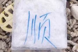 Bình Thuận: Thu giữ gần 20kg nghi là ma túy trôi dạt trên biển