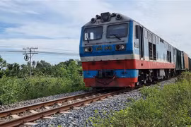 (Ảnh minh họa: Nguyễn Thành/TTXVN) 