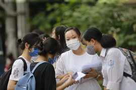 (Ảnh minh họa: Trọng Đạt/TTXVN) 