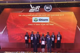 Tôn vinh các doanh nghiệp thuộc tốp 500 doanh nghiệp lớn nhất Việt Nam năm 2019. (Ảnh: Thạch Huê/TTXVN) 