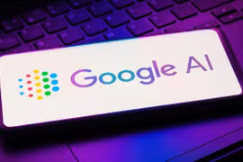 Ảnh minh họa. (Nguồn: Google Health AI)