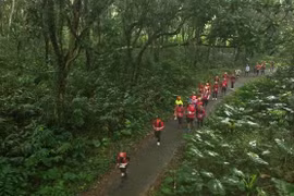 Du khách trong và ngoài nước tham gia Giải Chạy Thể thao Quần chúng Quốc tế "Cúc Phương Jungle Paths 2023" tổ chức tại Ninh Bình. (Ảnh: Thùy Dung/TTXVN)