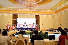 Quang cảnh Hội nghị Bộ trưởng kinh tế ASEAN-Nga. (Ảnh: Huỳnh Thảo/TTXVN) 