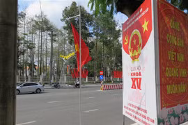 Băngrôn, khẩu hiệu tuyên truyền đã được treo ở các tuyến đường và địa điểm công cộng ở Cà Mau. (Ảnh: Minh Hưng/ TTXVN) 