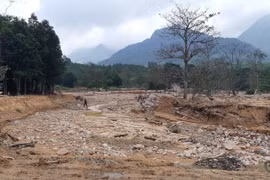 Xã Hướng Việt, tỉnh Quảng Trị tan hoang và ngập trong đổ nát, bùn đất sau trận lũ lịch sử. (Ảnh: Thủy Trần/Vietnam+) 