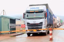 Hàng hóa thông quan tại cửa khẩu quốc tế Móng Cái. (Ảnh: Văn Đức/TTXVN) 
