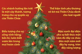 Tìm hiểu về cây thông Noel - biểu tượng cho Lễ Giáng sinh
