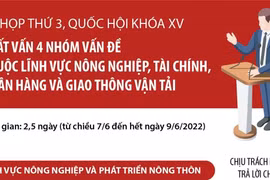 Chất vấn 4 nhóm vấn đề về nông nghiệp, tài chính, ngân hàng và GTVT