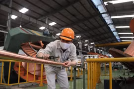 Hoạt động sản xuất tại Nhà máy Bắc Dương - chi nhánh Công ty Cổ phần Dây và Cáp điện Thượng Đình. (Ảnh: Mạnh Minh/TTXVN) 