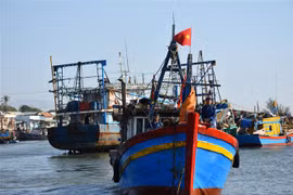 Ngư dân Quảng Trị kỳ vọng một mùa biển thuận buồm, xuôi gió