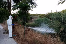 Phát hiện 1 bệnh nhân nhiễm virus Tây sông Nile ở miền Nam Tây Ban Nha