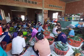 Hình ảnh người dân gói bánh tét gửi đồng bào miền Trung