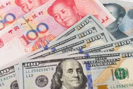 Đồng Nhân dân tệ và đồng USD. (Nguồn: AFP/TTXVN) 